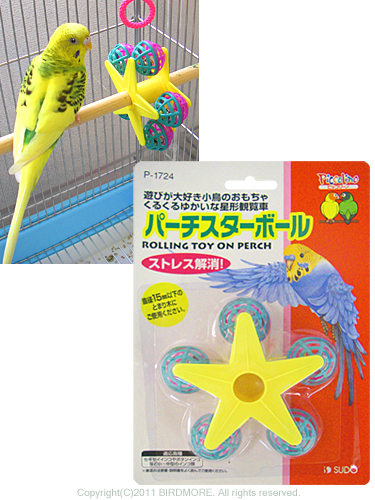 9991514【誠文堂新光社】☆Companion Bird (コンパニオンバード) NO.2