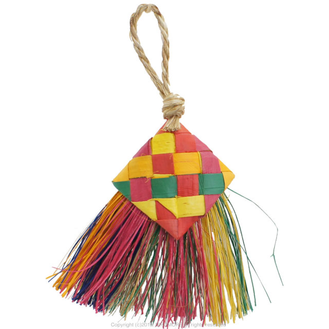 9991513【PP】バードブラシ　ミニ