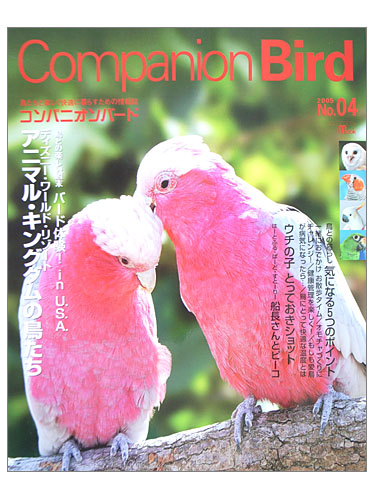 9991818【誠文堂新光社】★Companion　Bird　(コンパニオンバード)　NO.4◆