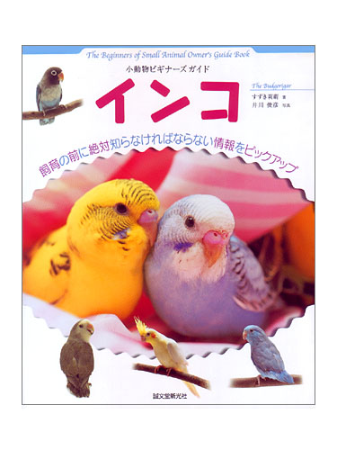 9991912【誠文堂新光社】★ビギナーズガイド　インコ◆