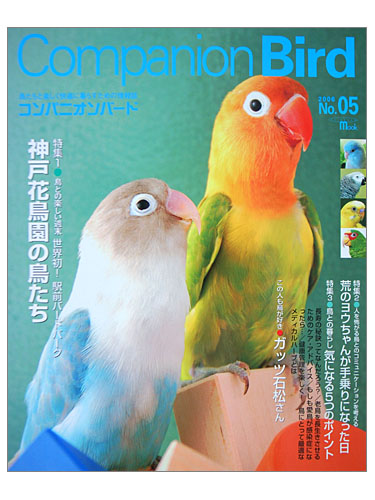 9991914【誠文堂新光社】★Companion　Bird　(コンパニオンバード)　NO.5◆