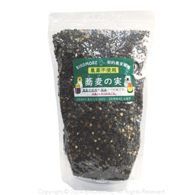 9997120【北海道産】殻付き松の実 30g 鳥専門店 BIRD MORE