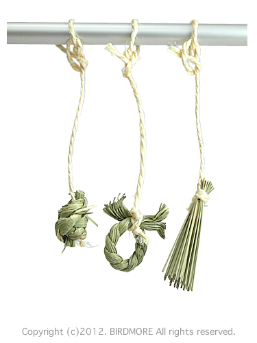 9992306【かじりーず】びぎなーず3