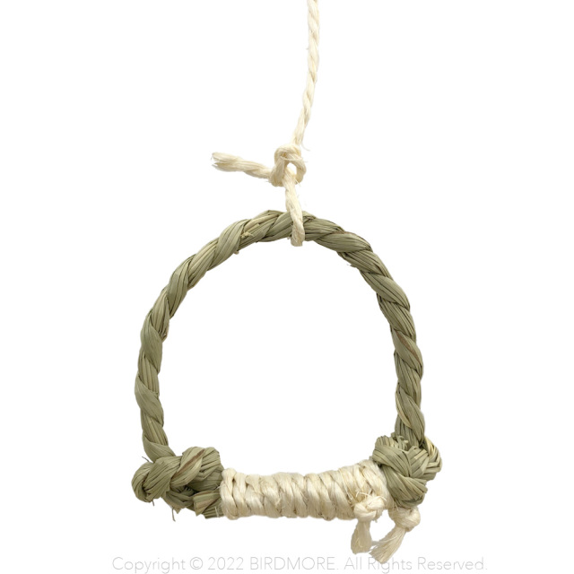 9992315【かじりーず】おひとりさま