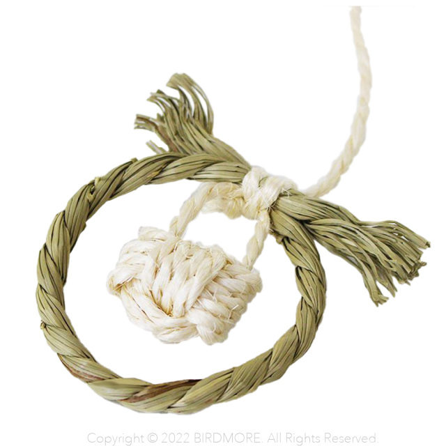 9992781【かじりーず】お正月しめなわ