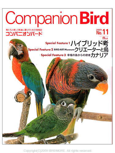 9992861【誠文堂新光社】★Companion　Bird　(コンパニオンバード)　NO.11◆