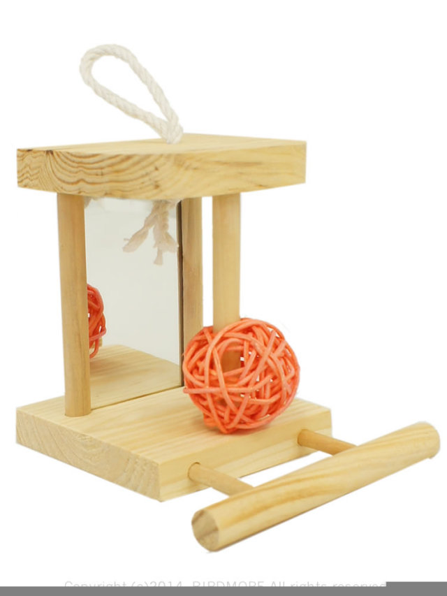 9992895【サンコー】ミラー