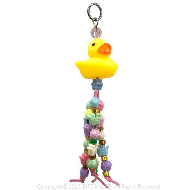 プラスチック系 鳥専門店 BIRD MORE