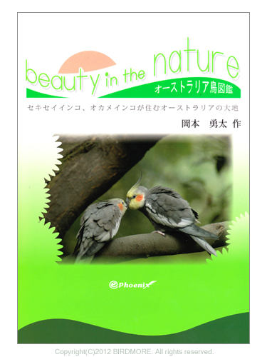 9993879【イーフェニックス】beauty in the nature オーストラリア野生インコ・オウム類の写真集◆