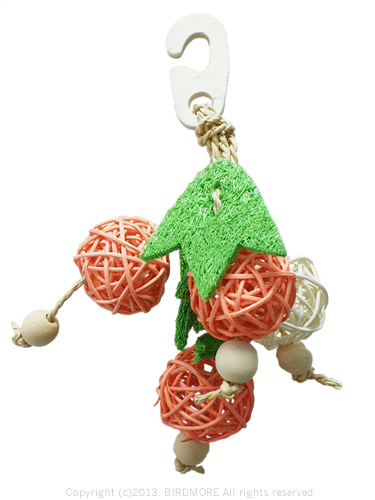 9999999●日替わり特価●【サンコー】ナチュラルハンガー・フルーツ