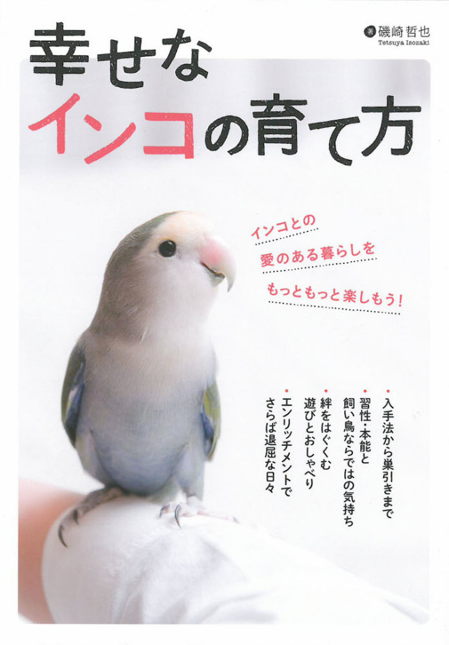 9995292【大泉書店】幸せなインコの育て方◆