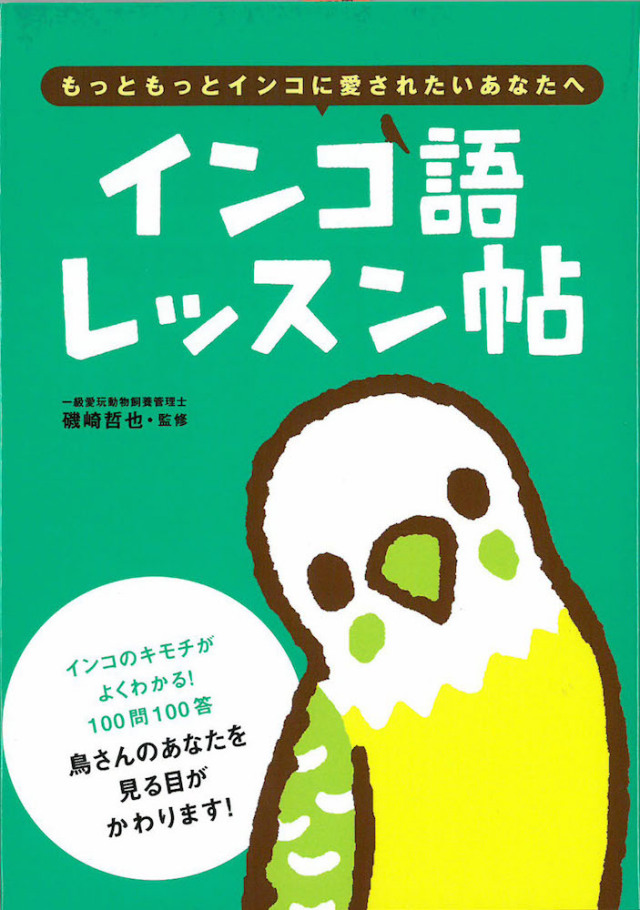 9995293【大泉書店】インコ語レッスン帖◆