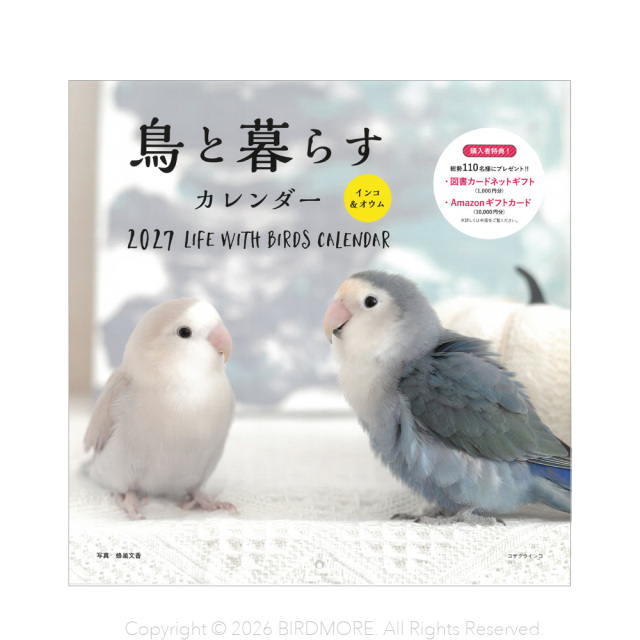 9995537【誠文堂新光社】2027年 大判カレンダー 鳥と暮らすカレンダー インコ&オウム