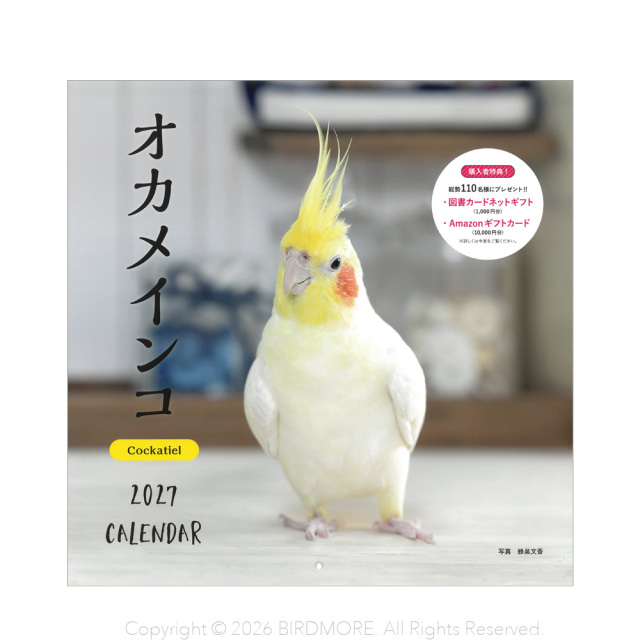 9995538【誠文堂新光社】2027年 大判カレンダー オカメインコ