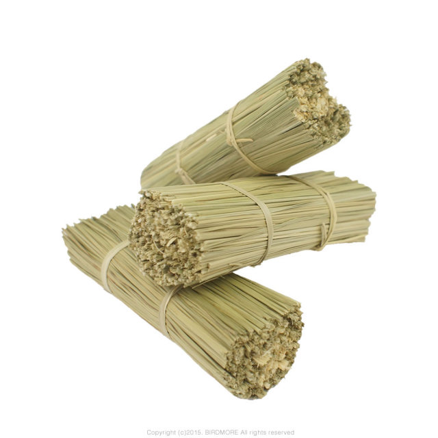 9995543【マルカン】かじってチモシー