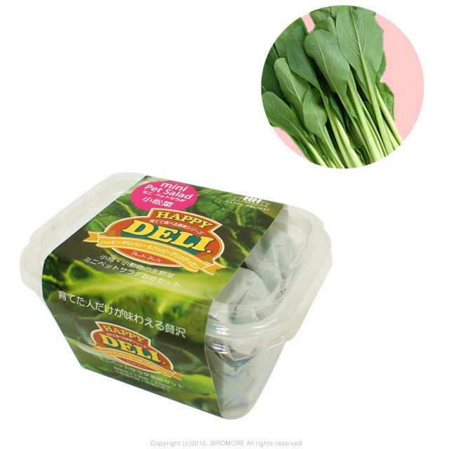 9995545【HHJ】育てて食べる野菜HAPPY　DELI MINI/小松菜