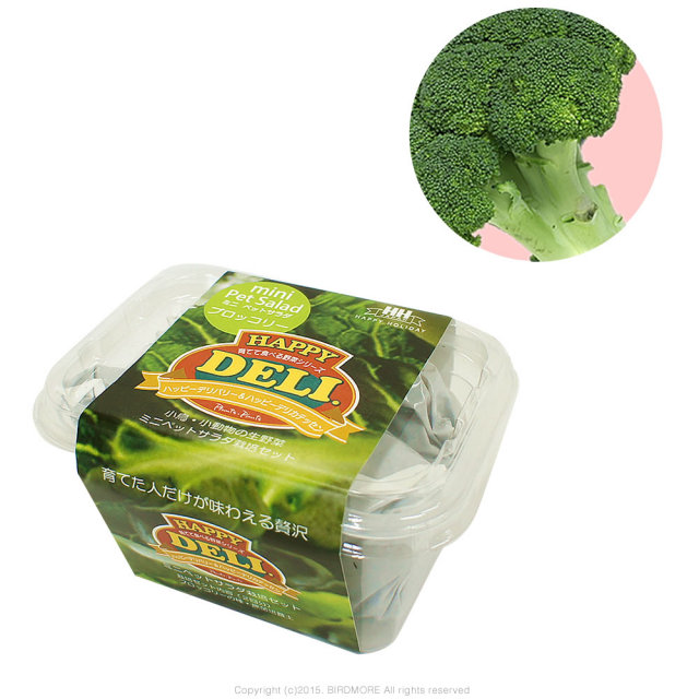 9995546【HHJ】育てて食べる野菜HAPPY　DELI MINI/ブロッコリー