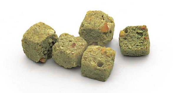 9996013【ハリソン】ハイポテンシー・コース/大粒・454g 鳥専門店 BIRD