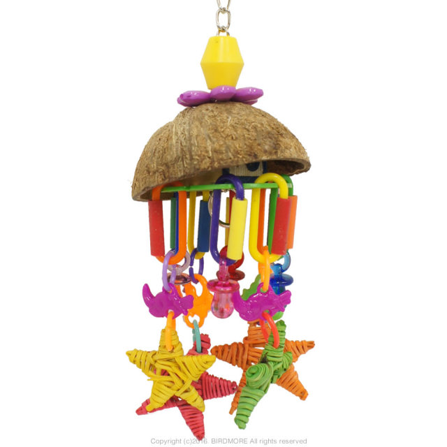 9996045【SBC】SB896 Seeing Stars