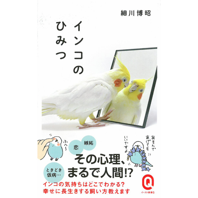 9996102【イースト・プレス】インコのひみつ◆