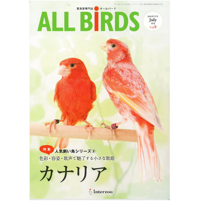 9996129【インターズー】ALL　BIRDS　(オールバード)　2016年/7月号◆