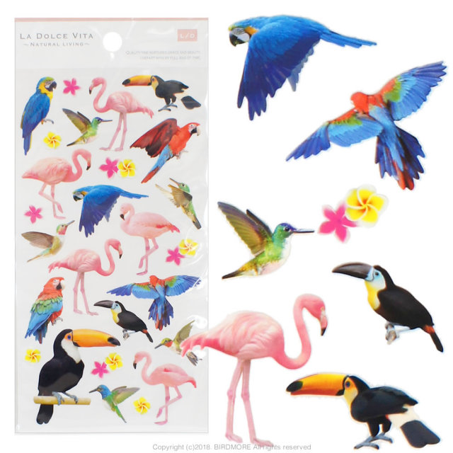 飼鳥用品専門店birdmore バードモア Mind Wave シール 南国の鳥 コンゴウ オオハシ フラミンゴ ハチドリ