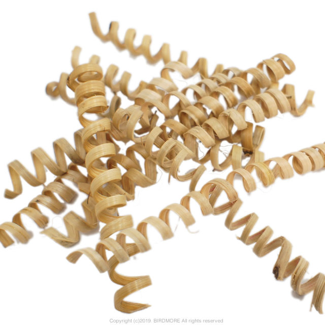 9997316【BTP】ケインスプリング 1本