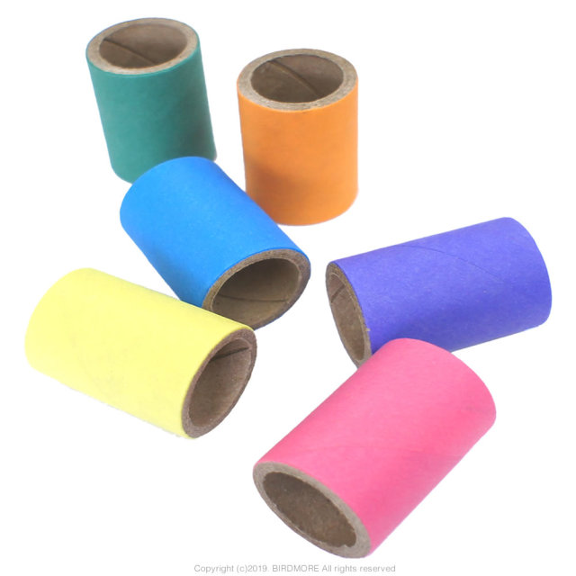 着色系 鳥専門店 BIRD MORE