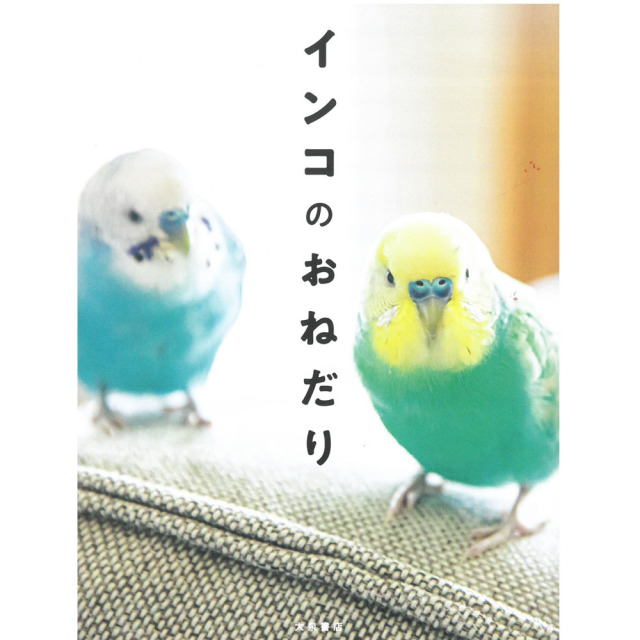 9997750【大泉書店】インコのおねだり◆