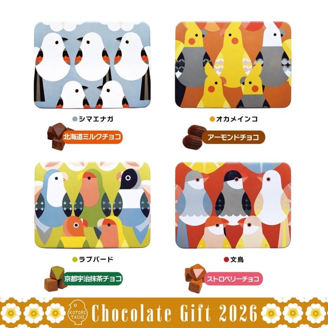 9997762【KOTORITACHI】★角缶チョコ（4種）