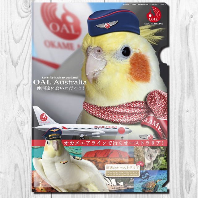 飼鳥用品専門店BIRDMORE(バードモア) / 【TOMO YAMASHITA DESIGN
