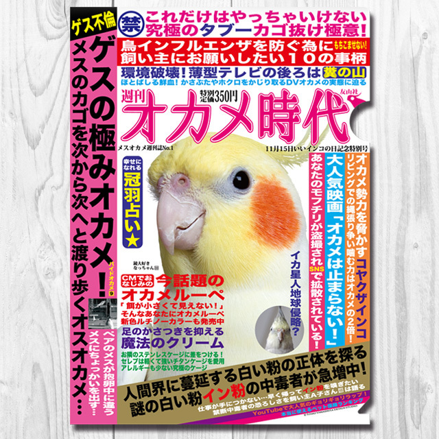 飼鳥用品専門店BIRDMORE(バードモア) / 【TOMO YAMASHITA DESIGN