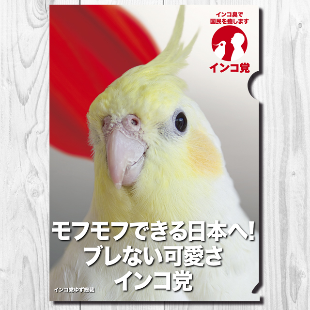 9997869【TOMO YAMASHITA DESIGN STUDIO】A4クリアファイル/インコ党 モフモフできる日本◆