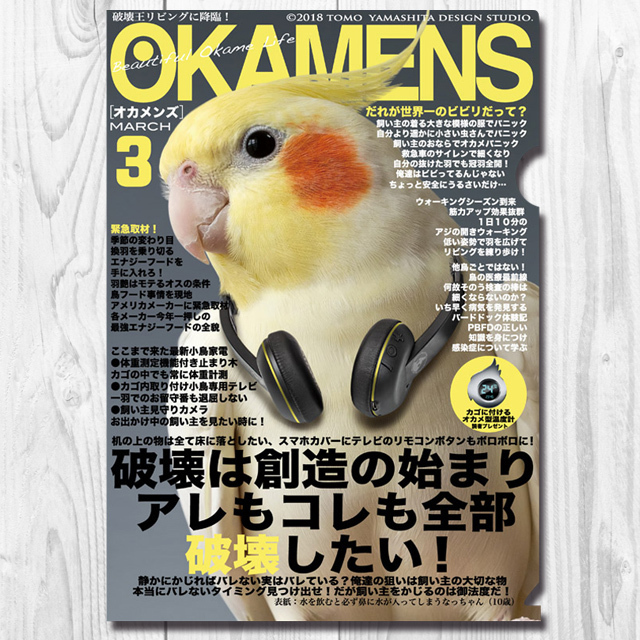 9997870【TOMO YAMASHITA DESIGN STUDIO】A4クリアファイル/オカメンズ3月号◆