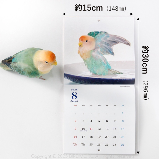 飼鳥用品専門店BIRDMORE（バードモア）/【LOVE!Bird展】LOVE