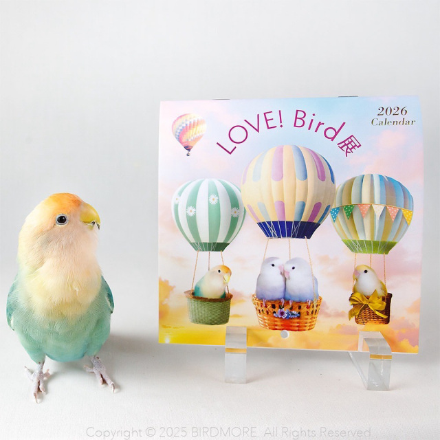 飼鳥用品専門店BIRDMORE（バードモア）/【LOVE!Bird展】LOVE