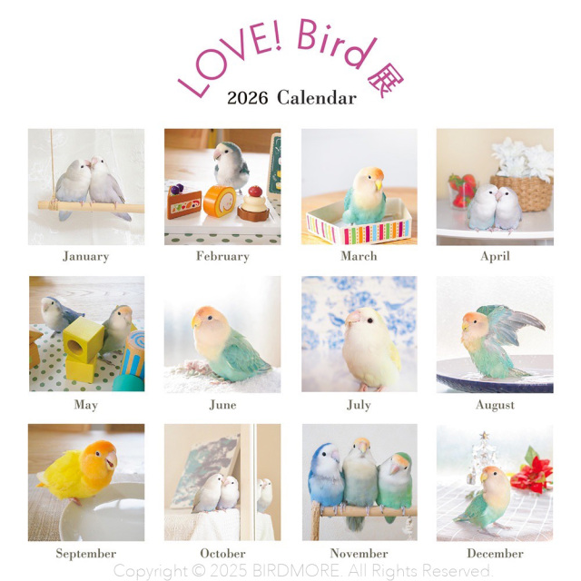 飼鳥用品専門店BIRDMORE（バードモア）/【LOVE!Bird展】LOVE