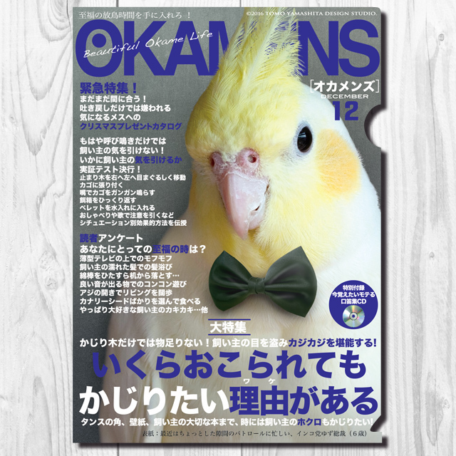 9997950【TOMO YAMASHITA DESIGN STUDIO】A4クリアファイル/オカメンズ12月号 「蝶ネクタイ」◆