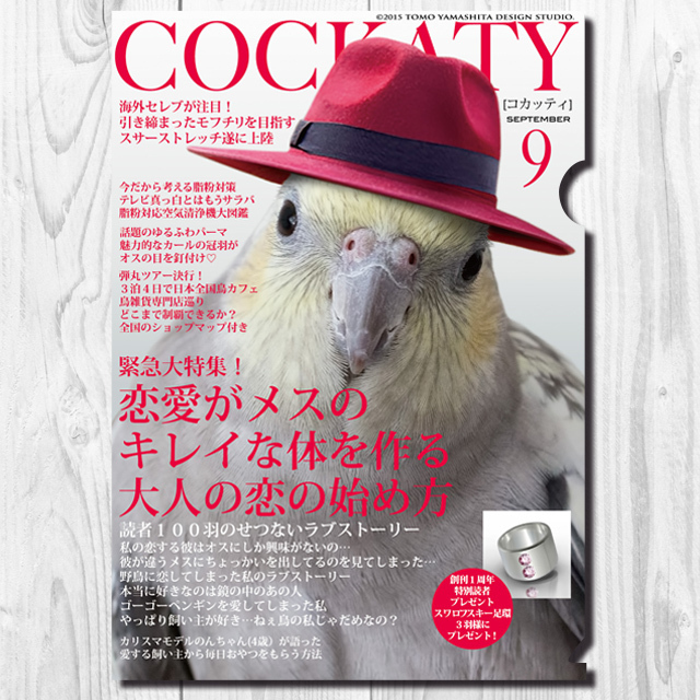 9997952【TOMO YAMASHITA DESIGN STUDIO】A4クリアファイル/コカッティ9月号 「恋愛がメスのキレイな体を作る」◆