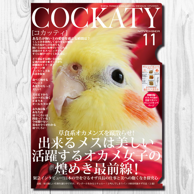 9997953【TOMO YAMASHITA DESIGN STUDIO】A4クリアファイル/コカッティ11月号 「出来るメスは美しい」◆