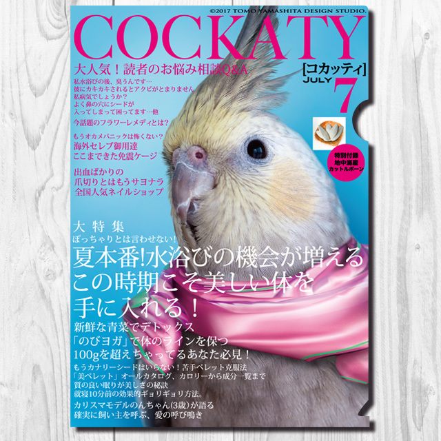 9997954【TOMO YAMASHITA DESIGN STUDIO】A4クリアファイル/コカッティ7月号 「夏本番水浴び」◆