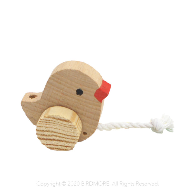 鳥さん専用 9996937【サンコー】☆さらっピヨ 鳥専門店 BIRD MORE