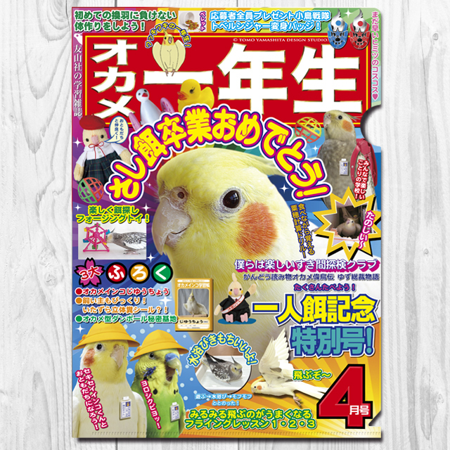 9998005【TOMO YAMASHITA DESIGN STUDIO】A4クリアファイル/オカメ一年生◆