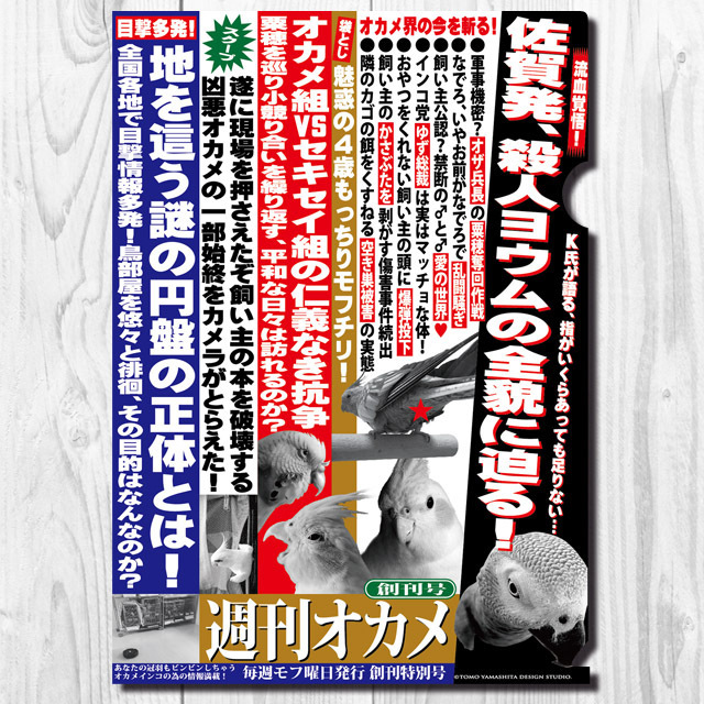 9998019【TOMO YAMASHITA DESIGN STUDIO】A4クリアファイル/週刊オカメ 「創刊号」◆