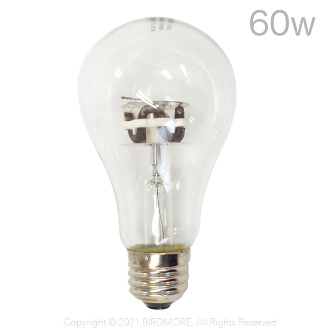 9998264【マルカン】ヒートランプ 交換球 60W 鳥専門店 BIRD MORE