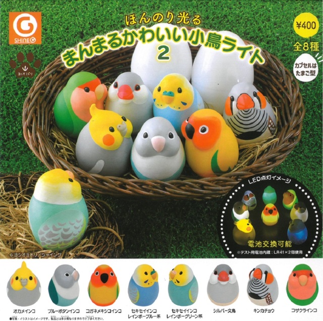 鳥グッズ 鳥専門店 Bird More