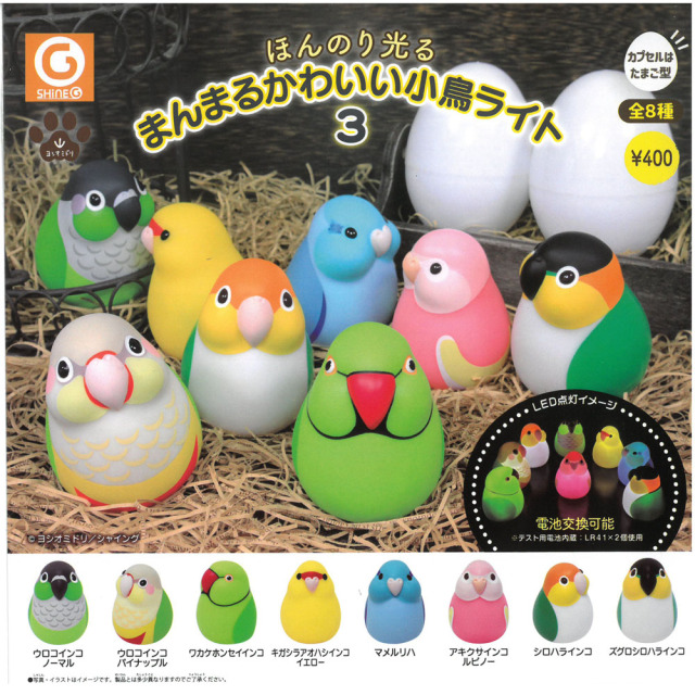 鳥グッズ 鳥専門店 Bird More