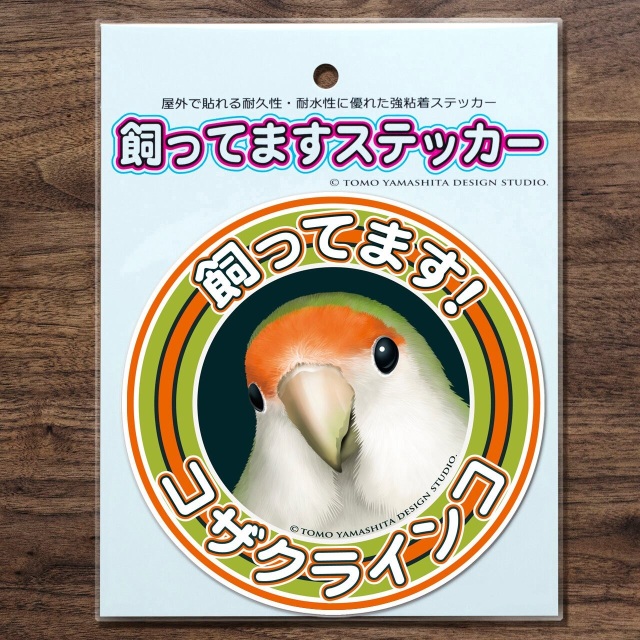 9998828【TOMO YAMASHITA DESIGN STUDIO】飼ってますステッカー コザクラ/オレンジグリーン ◆