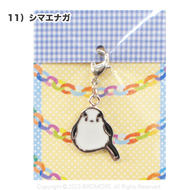 9998909【hanisupi】☆チャーム 大型他 鳥専門店 BIRD MORE