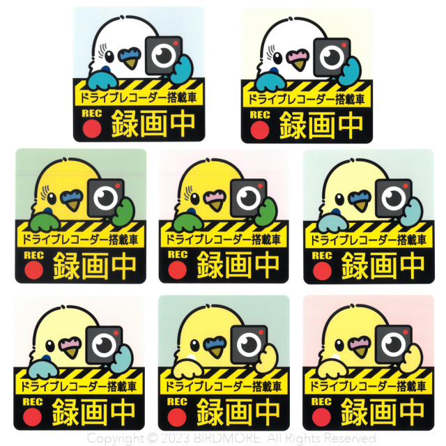 9998923【ゆとり屋】ドラレコステッカー/セキセイインコ◆